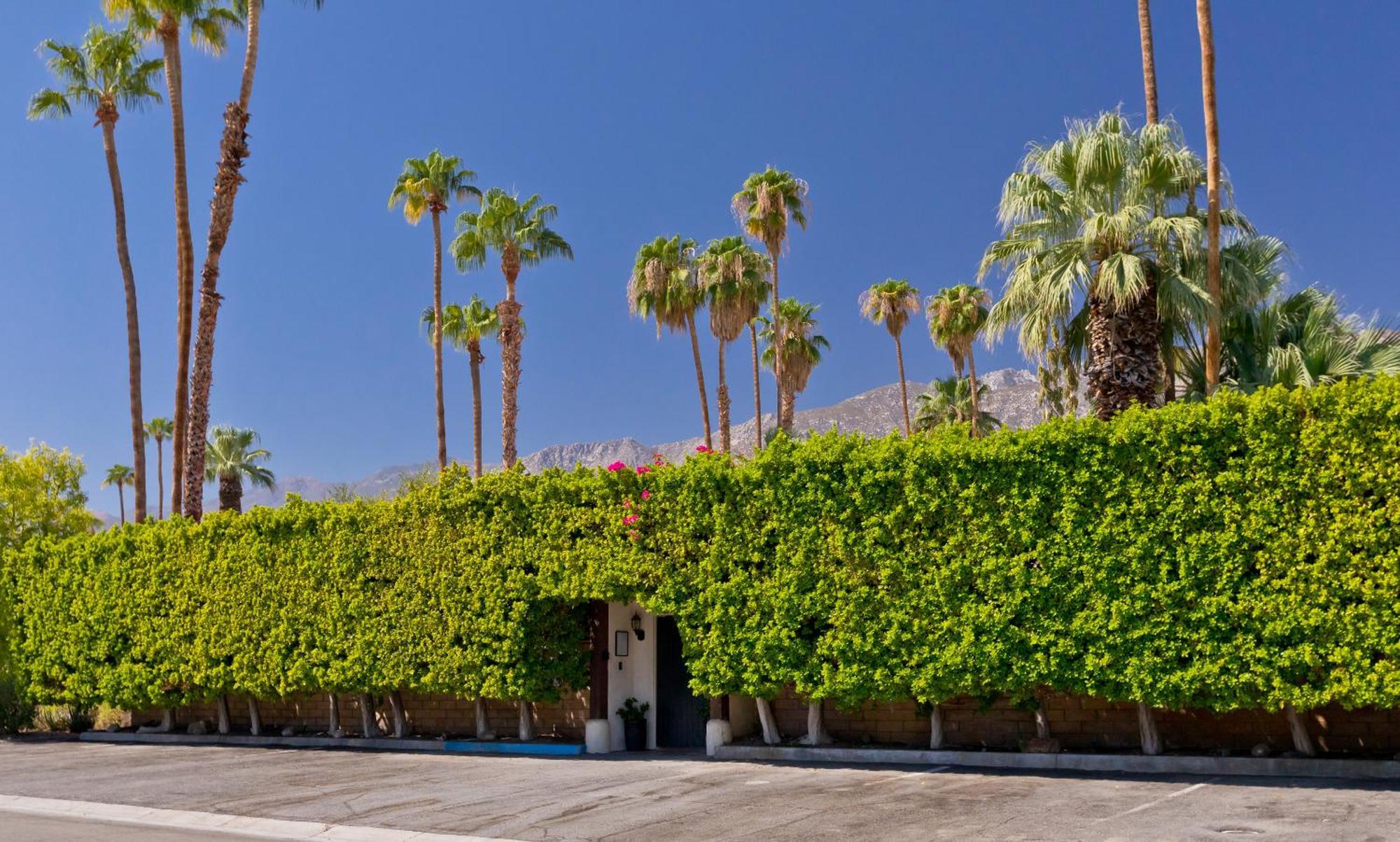 La Maison Hotel - Adults Only Palm Springs Exterior foto